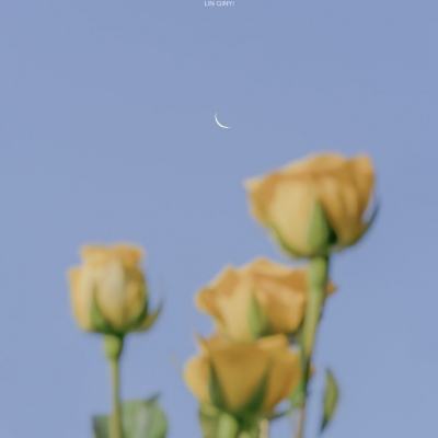 新华时评｜推动中朝传统友好合作关系不断向前发展
